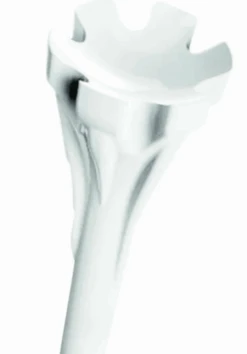 Champ Zarma White Fly Tee 83Mm 5 Champ Zarma White Fly Tee 83Mm -Iron Club Gear Outlet Store IMG 1482 1